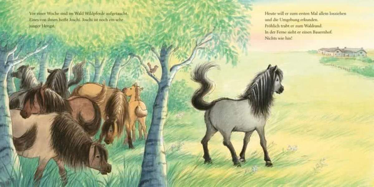 Carlsen Verlag LESEMAUS 147: Ein Tag bei den Wildpferden