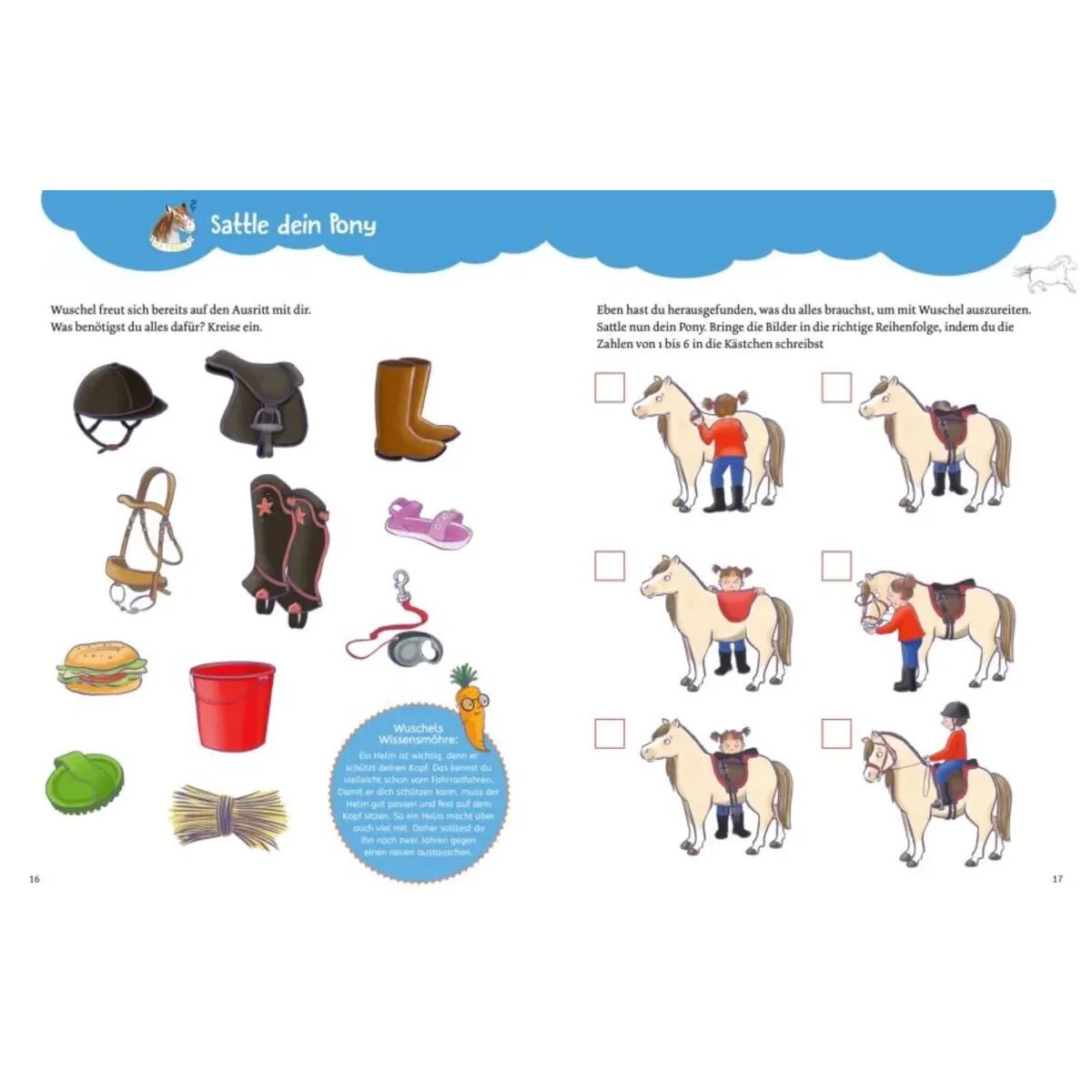 Carlsen Verlag Mein Pony-Mitmachbuch