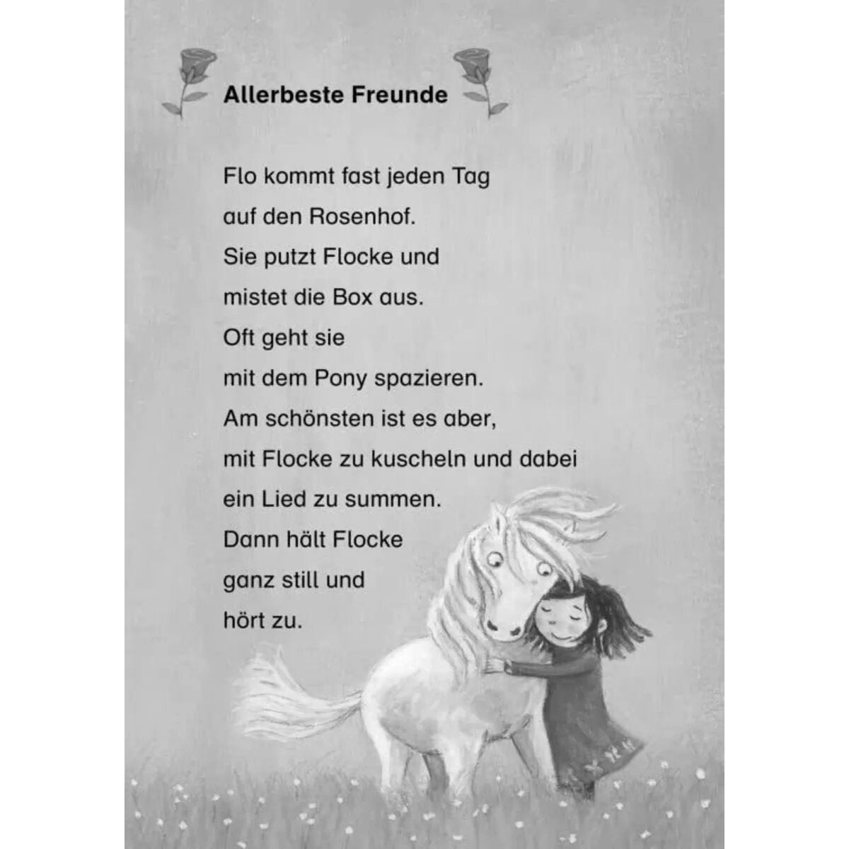 Carlsen Verlag Pony Flocke Doppelband