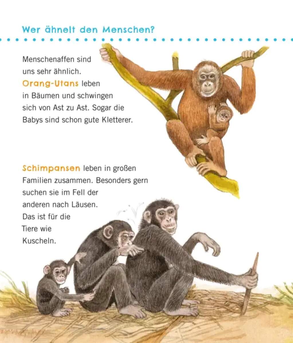 Carlsen Verlag Unkaputtbar: Erstes Wissen: Große Tiere