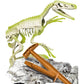 Clementoni Ausgrabungs-Set Velociraptor
