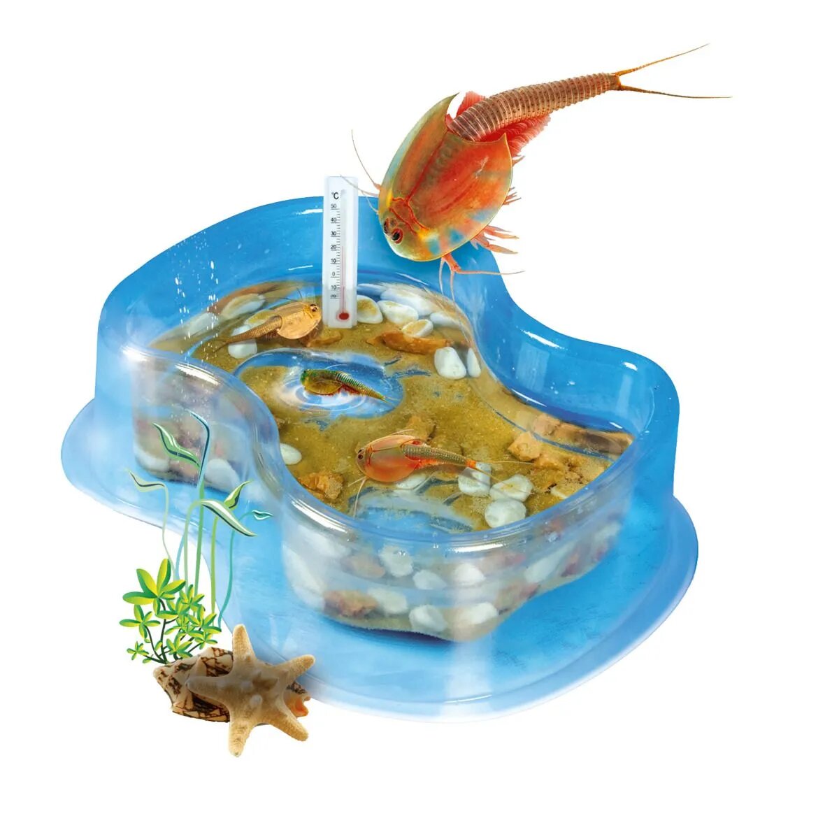 Clementoni Galileo Triops Starter Set