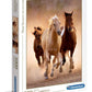 Clementoni High Quality Collection - Running horses, 1000 Teile
