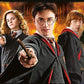 Clementoni Panorama Puzzle Harry Potter, 1000 Teile
