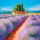 Clementoni Puzzle -  Lavendel-Duft, 500 Teile