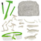 Depesche Dino World Ausgrabungs-Set Groß Dino World Excavation Kit Big