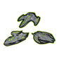 DerDieDas ErgoFlex Easy Schulranzen-Set Exklusiv Superflash Neon Fighter