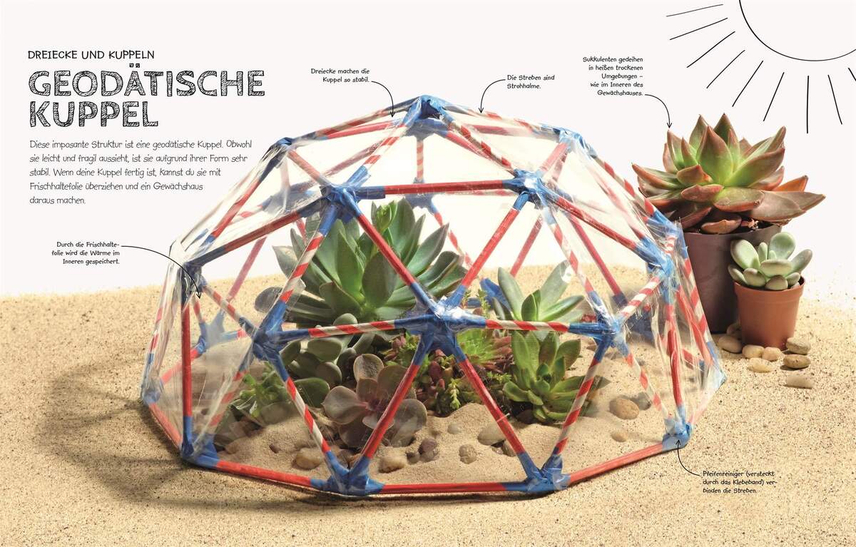 DK Das Super Labor für Profis: Mit Experimenten Natur und Technik verstehen