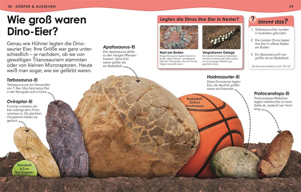 DK Verlag Buch Weshalb? Deshalb! Dinos Das Frage-und-Antwort-Lexikon