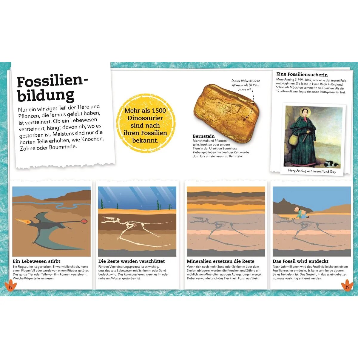 DK Verlag Dinosaurier - Entdecke die Tiere der Urzeit