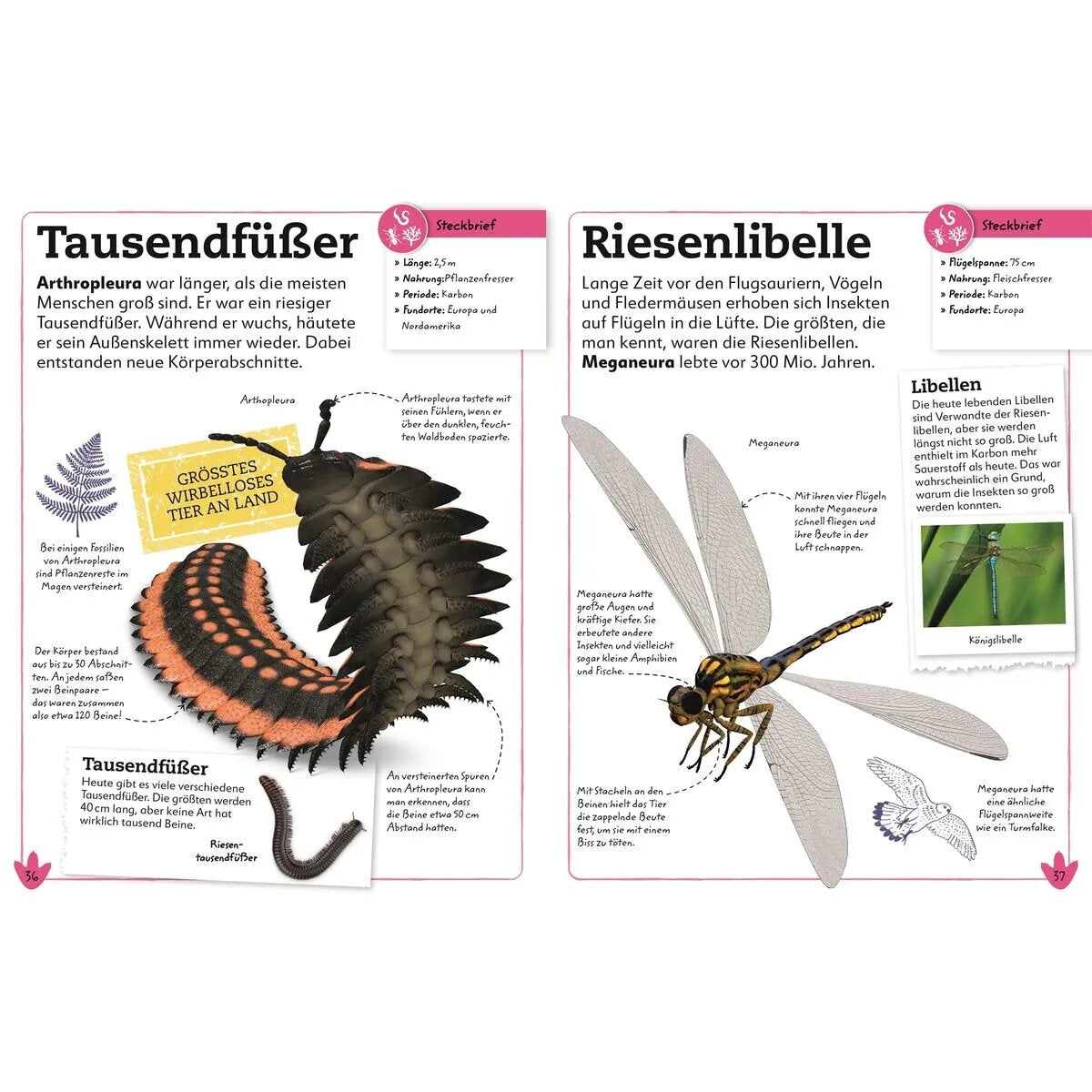 DK Verlag Dinosaurier - Entdecke die Tiere der Urzeit