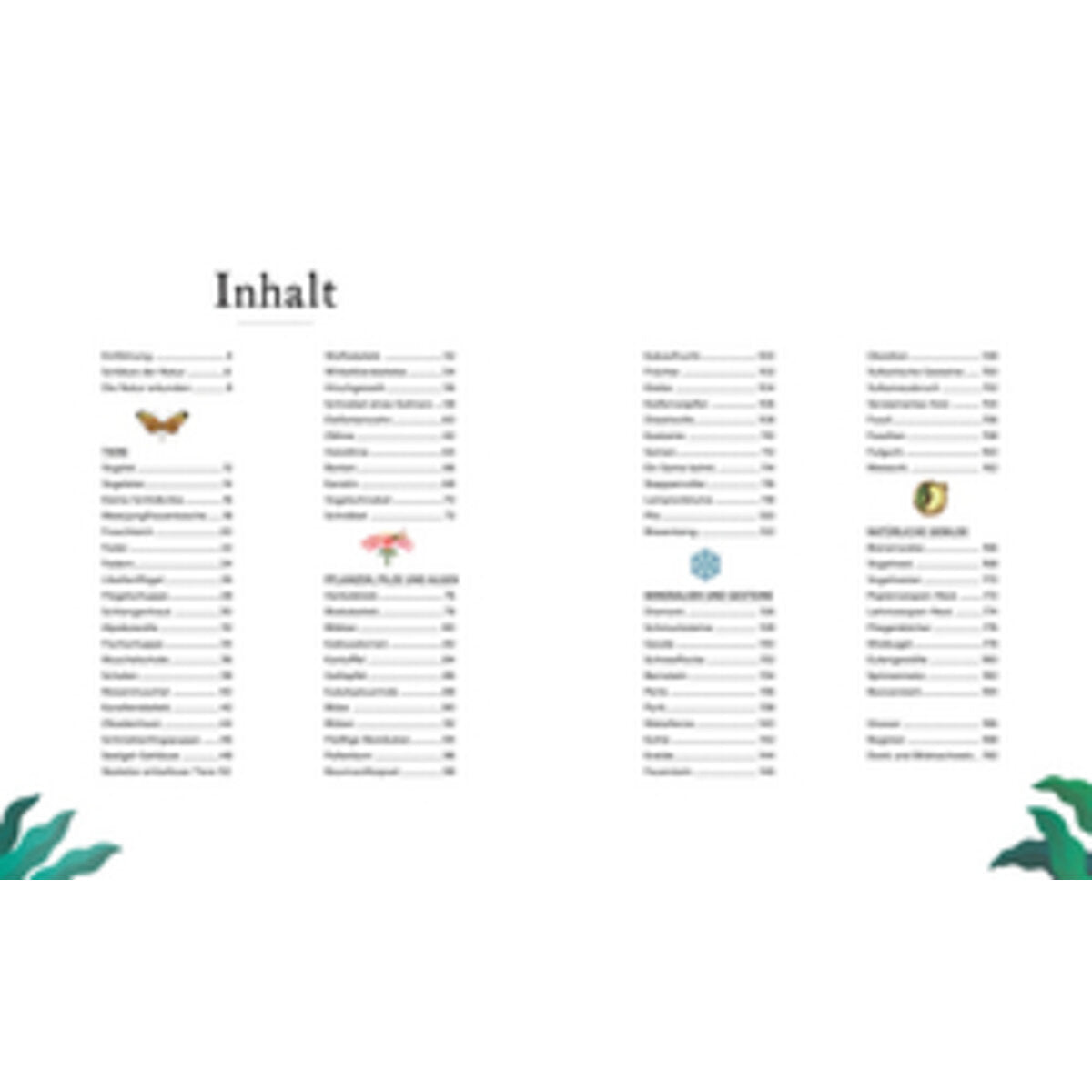 DK Verlag Große und kleine Schätze der Natur. Große und kleine Schätze der Natur