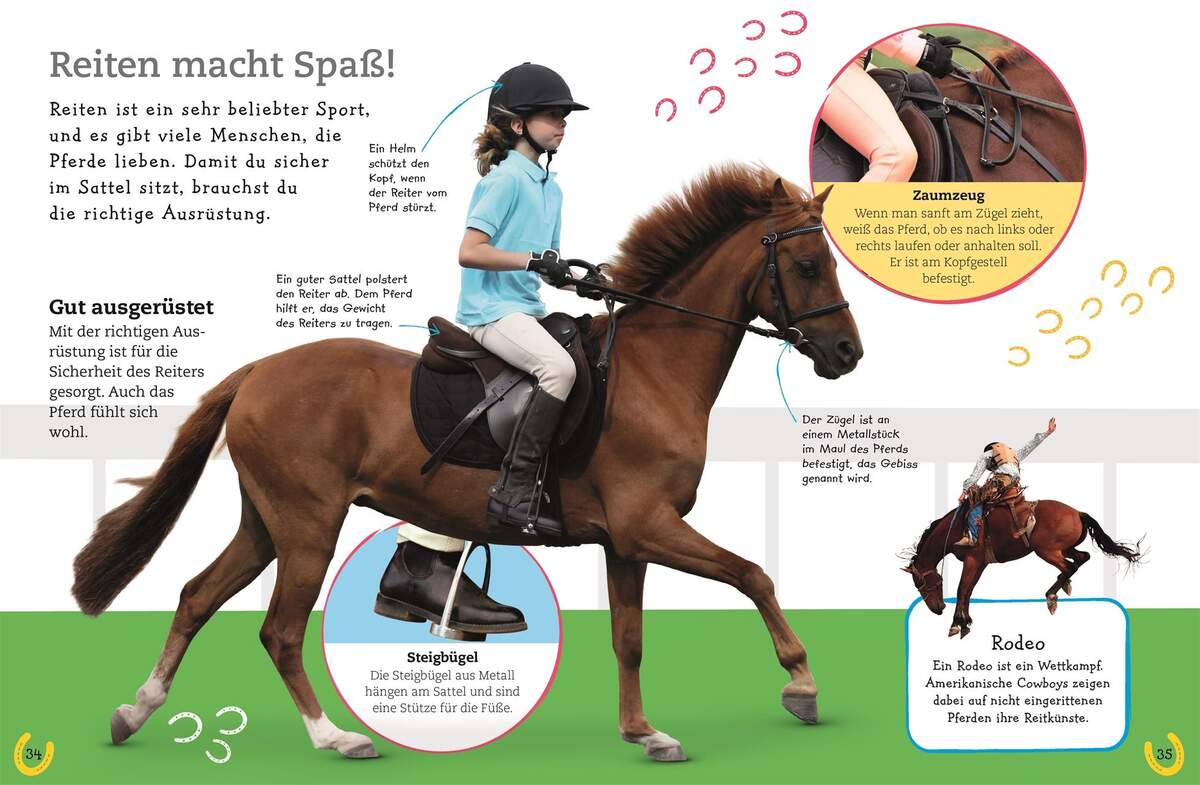 DK Verlag Pferde und Ponys Alles über deine Lieblingstiere