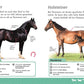 DK Verlag Pferde und Ponys Alles über deine Lieblingstiere