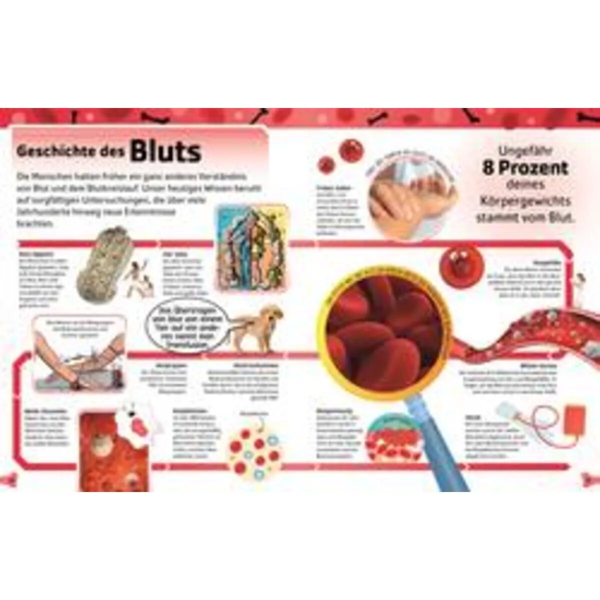 DK Verlag Superstark & superschlau. Superstarker Körper