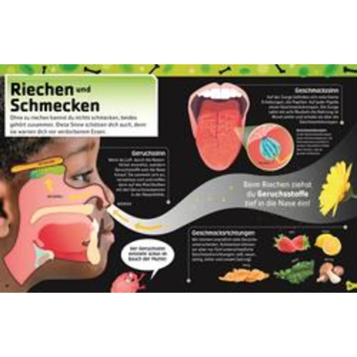 DK Verlag Superstark & superschlau. Superstarker Körper