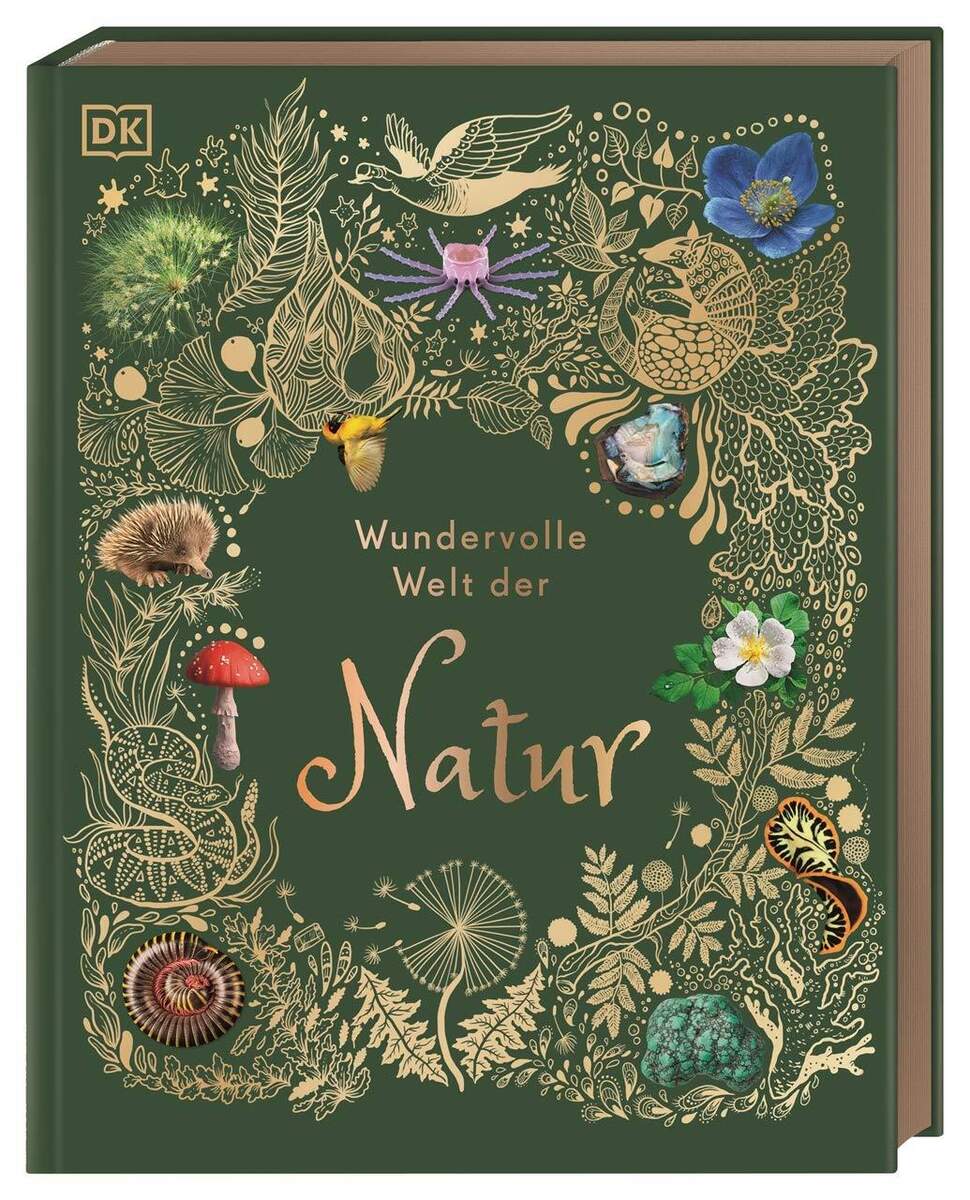 DK Verlag Wundervolle Welt der Natur - Ein Naturbilderbuch für die ganze Familie