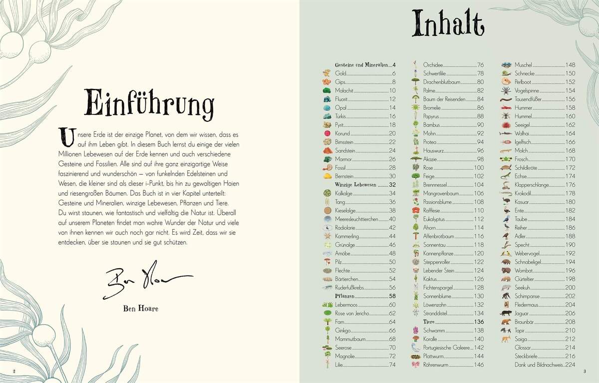 DK Verlag Wundervolle Welt der Natur - Ein Naturbilderbuch für die ganze Familie