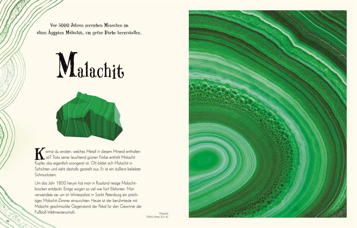 DK Verlag Wundervolle Welt der Natur - Ein Naturbilderbuch für die ganze Familie