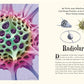DK Verlag Wundervolle Welt der Natur - Ein Naturbilderbuch für die ganze Familie