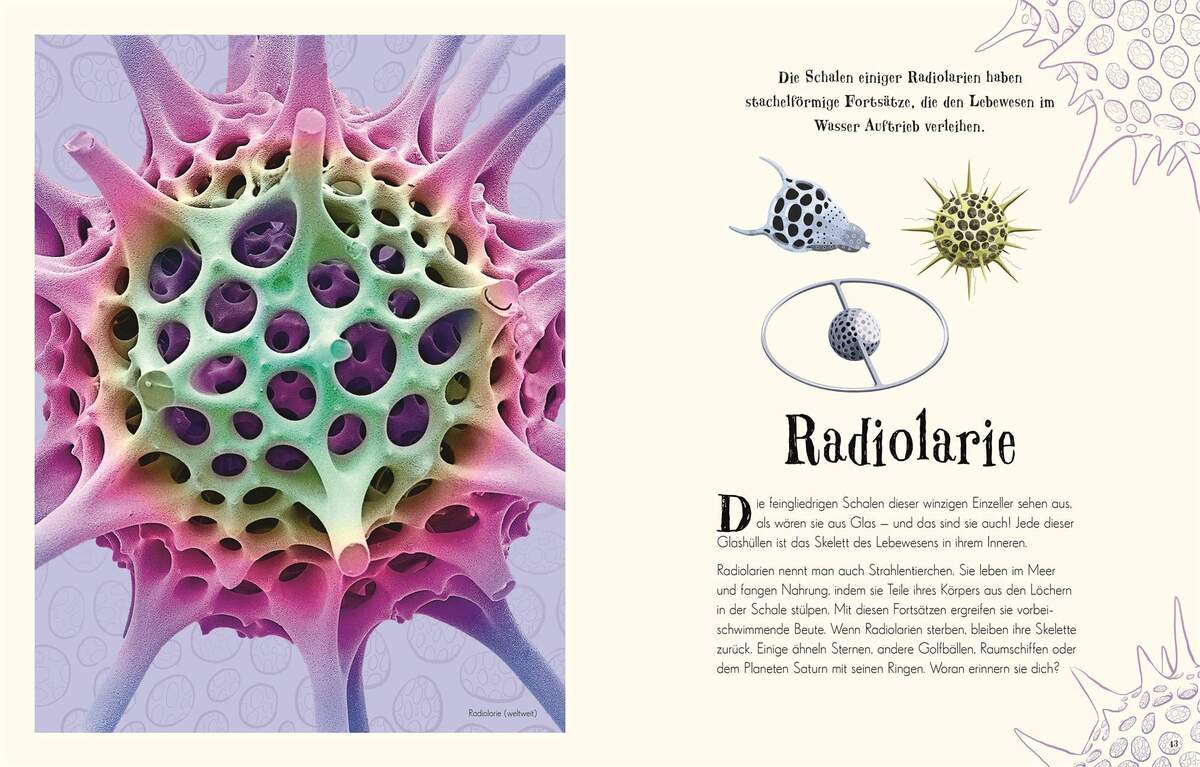 DK Verlag Wundervolle Welt der Natur - Ein Naturbilderbuch für die ganze Familie