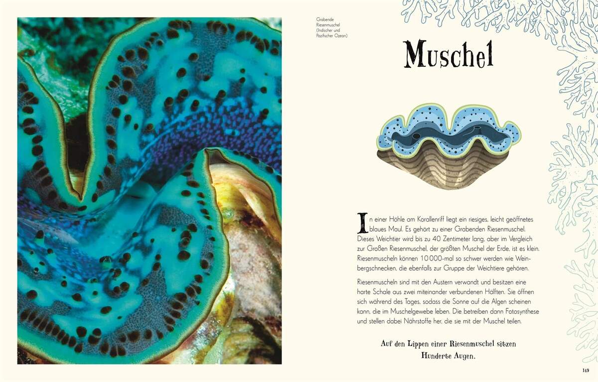DK Verlag Wundervolle Welt der Natur - Ein Naturbilderbuch für die ganze Familie