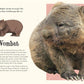 DK Verlag Wundervolle Welt der Natur - Ein Naturbilderbuch für die ganze Familie