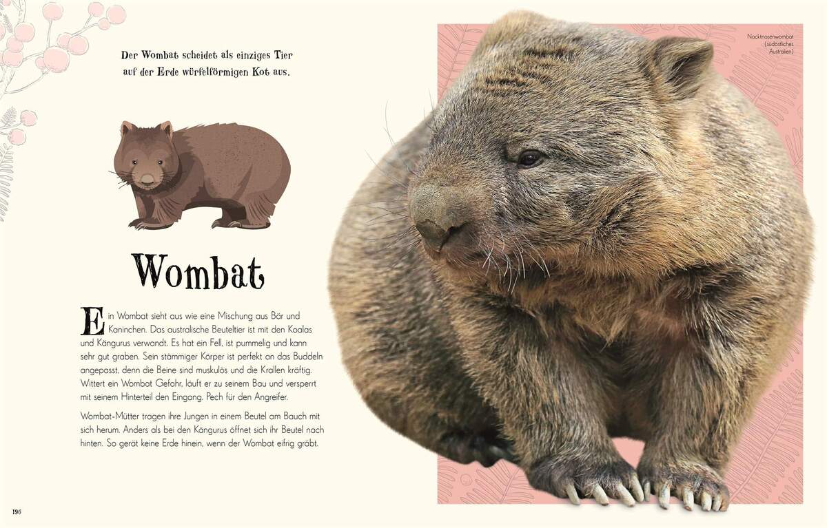 DK Verlag Wundervolle Welt der Natur - Ein Naturbilderbuch für die ganze Familie