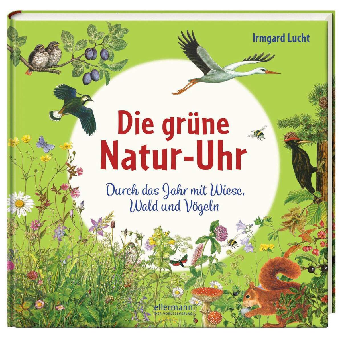 Ellermann Die grüne Natur-Uhr - Durch das Jahr mit Wiese, Wald und Vögeln