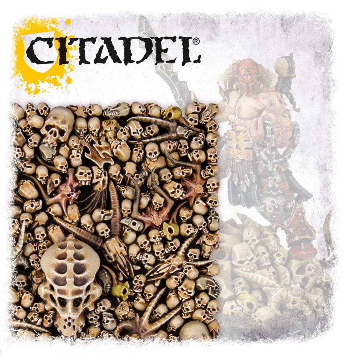 Games Workshop Citadel Skulls / Schädel, 340 Stück