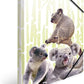 HERMA Sammelmappe DIN A3 Exotische Tiere, Koalafamilie