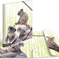 HERMA Sammelmappe DIN A3 Exotische Tiere, Koalafamilie