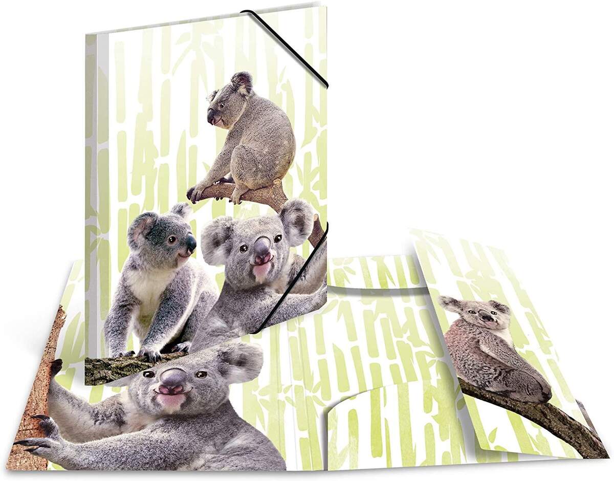HERMA Sammelmappe DIN A3 Exotische Tiere, Koalafamilie