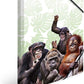 HERMA Sammelmappe DIN A3 Exotische Tiere - Affenbande