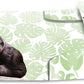 HERMA Sammelmappe DIN A3 Exotische Tiere - Affenbande