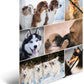 HERMA Sammelmappe Karton Hunde A4