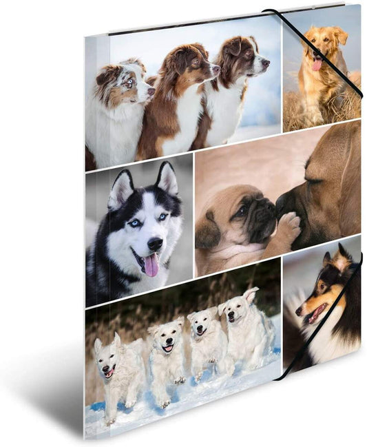 HERMA Sammelmappe Karton Hunde A4