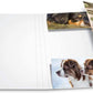 HERMA Sammelmappe Karton Hunde A4