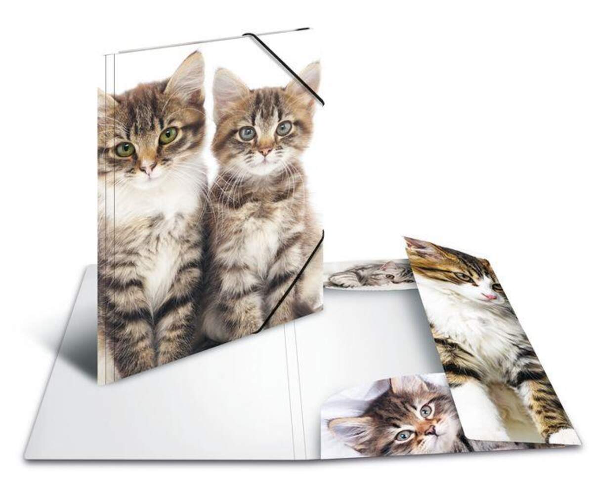 HERMA Sammelmappe Katzen, A4