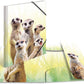 HERMA Sammelmappe, PP A3 exotische Tiere, Erdmännchen