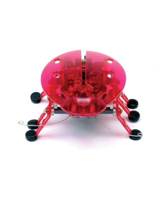 Hexbug Beetle