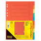 Idena 302004 Kartonregister, 10-teilig, 5 Farben, 170g