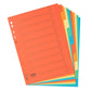 Idena 302004 Kartonregister, 10-teilig, 5 Farben, 170g