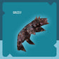 KOSMOS CREATTO Adler