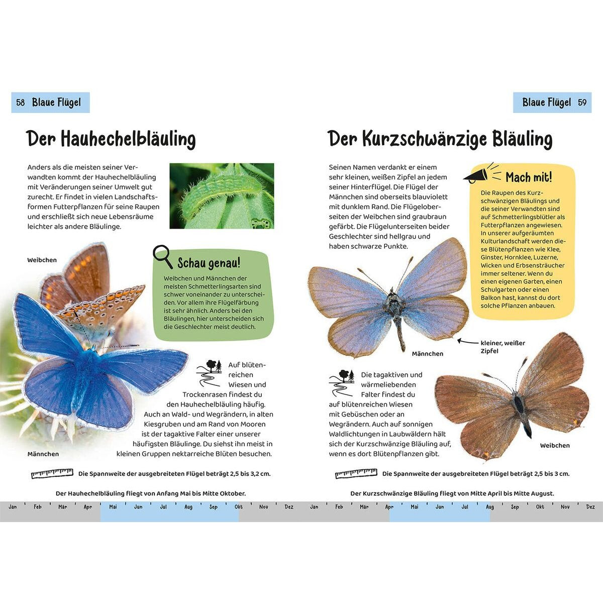 KOSMOS Kindernaturführer - Welcher Schmetterling ist das?
