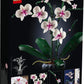 LEGO® Icons 10311 Orchidee