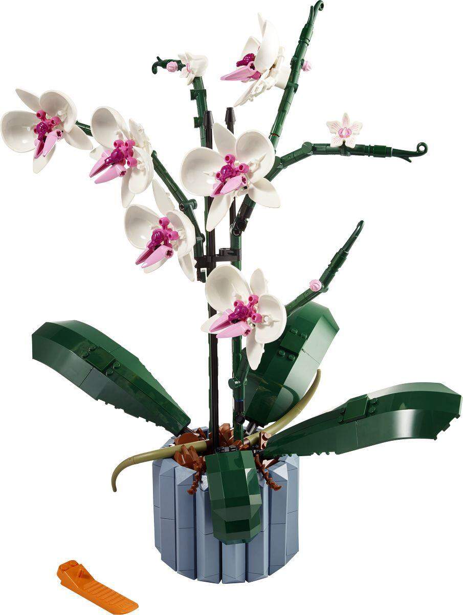 LEGO® Icons 10311 Orchidee