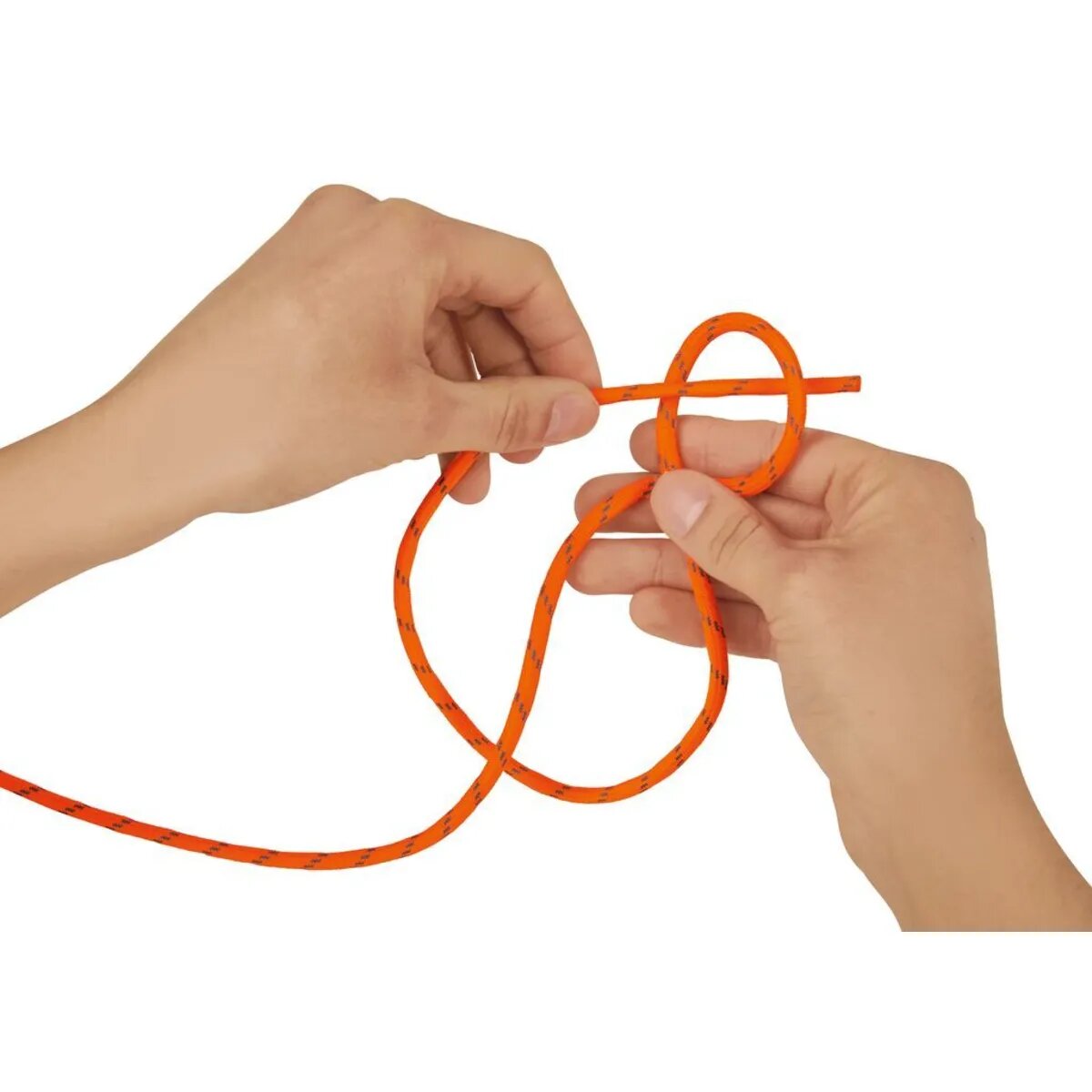 moses. Expedition Natur Die große Box der Knoten