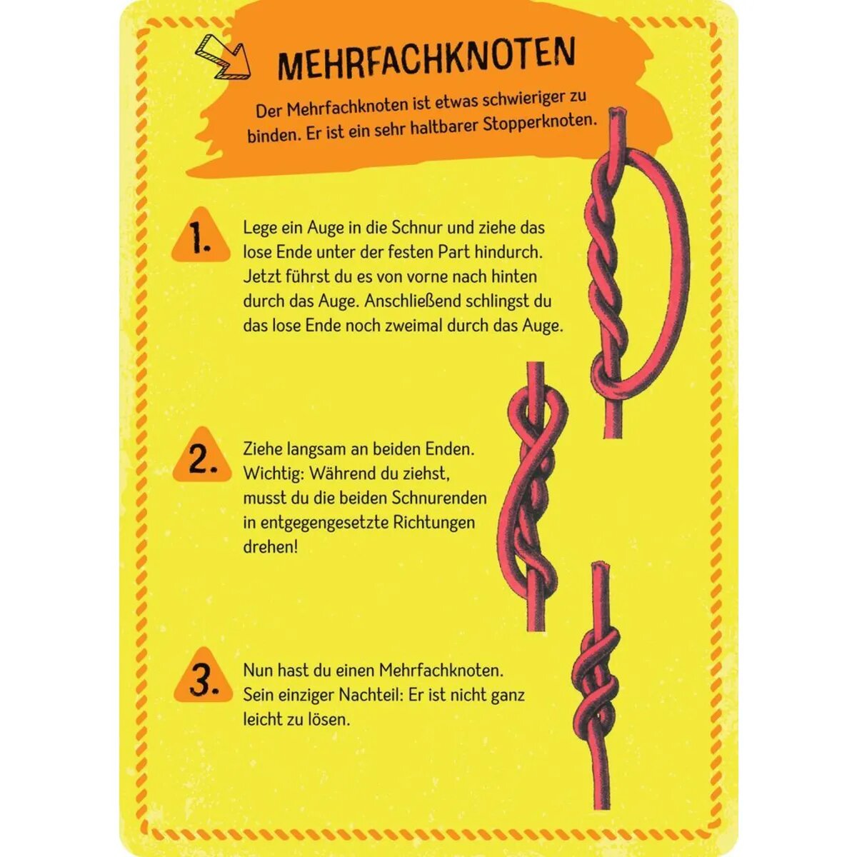 moses. Expedition Natur Die große Box der Knoten