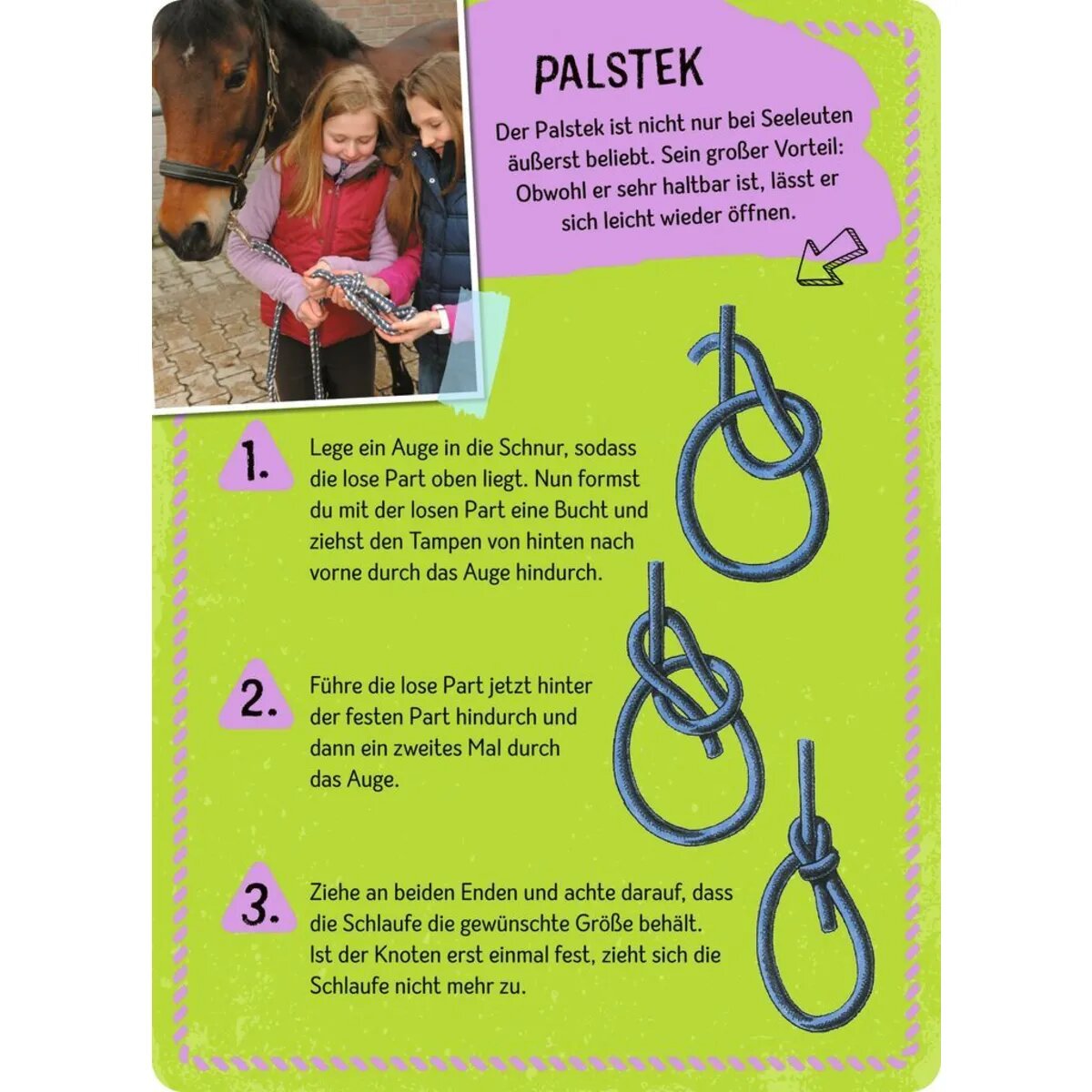 moses. Expedition Natur Die große Box der Knoten